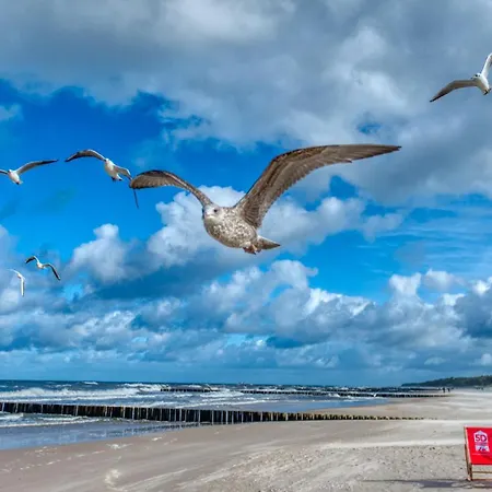 124 Z Ogrodkiem, Basenem I Gratis - 5d *