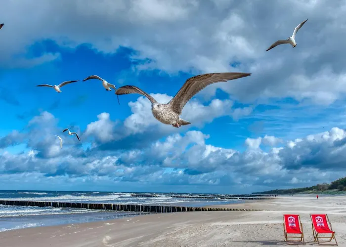 124 Z Ogrodkiem, Basenem I Gratis - 5d *